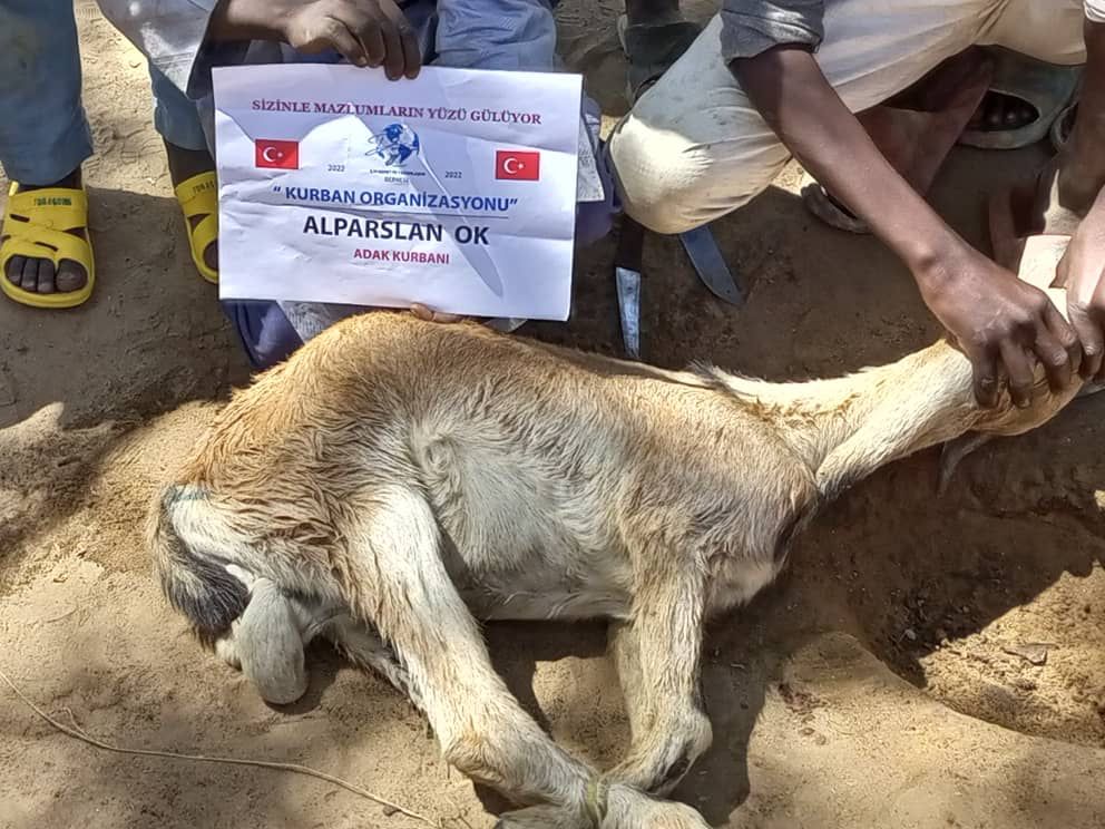 Bağış Sonrası Bilgilendirme